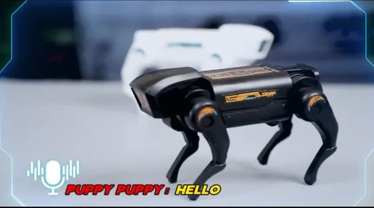 Giochi interattivi: perché i bambini amano i giocattoli che si muovono